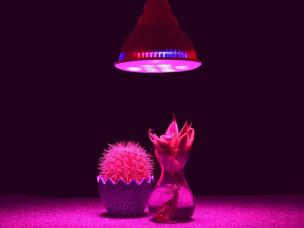 Highest Efficient Hydroponic LED Grow Light, TaoTronics Plant Grow Lights E27 Growing Lamp For Garden Greenhouse in 12w in Best 3 Bands Growing Combination